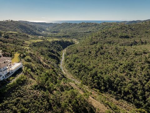 Unique opportunity to acquire a plot of land to build the house of your dreams. This is a 4,600 square meter plot in one of the most exclusive areas of Spain, the Montemayor Urbanization in Benahavís, the wealthiest village in the country. In a uniqu...