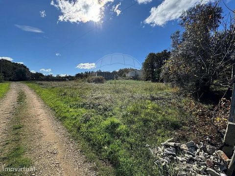 Lote de terreno plano com 1.000 metros quadrados, localizado em Cumeada, Valongo do Vouga, a poucos minutos de Águeda. O terreno apresenta uma topografia plana, facilitando os trabalhos de construção e reduzindo os custos de preparação. A área é idea...