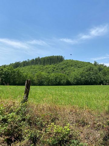 Situé dans la charmante commune de Fontrieu (81260) à deux pas de Brassac, ces terrains de 7,1 hectares offre un cadre naturel idyllique au cœur de la zone naturelle de la forêt de feuillus. Fontrieu est réputé pour sa tranquillité et son environneme...