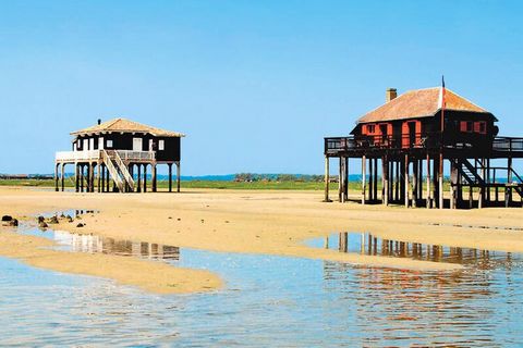 Découverte de l'environnement naturel du Bassin d'Arcachon: les ports, les parcs et les cabanes ostréicoles, la source des Abatilles, les plages du bassin et les plages océanes, la Dune du Pyla, forêt des Landes, les lacs.. Les activités sportives (c...