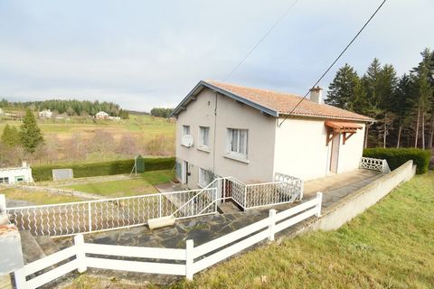 photo no. 1