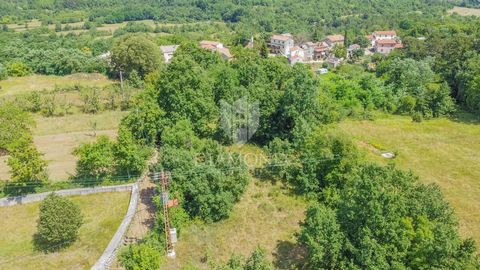 Location: Istarska županija, Grožnjan, Grožnjan. Istria, Grožnjan surroundings Building land for sale in a quiet location near Grožnjan. The area of the construction land is 1519 m2. The purpose of the land is residential. All the necessary infrastru...