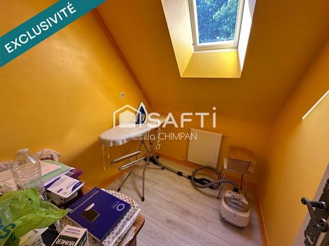 photo no. 11