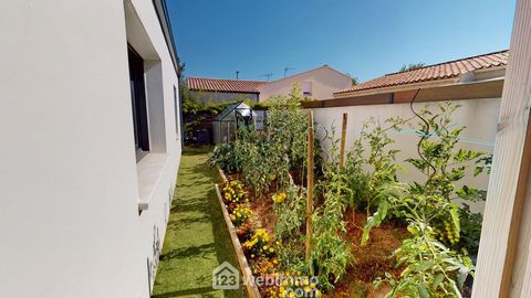 photo no. 14