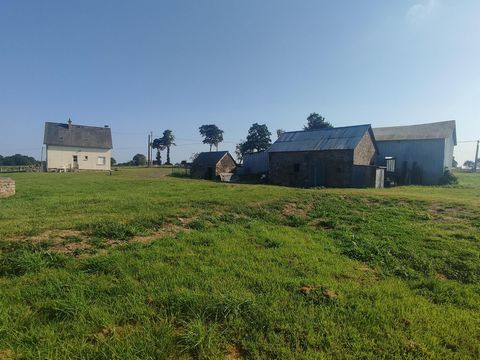 photo no. 4