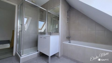photo no. 11