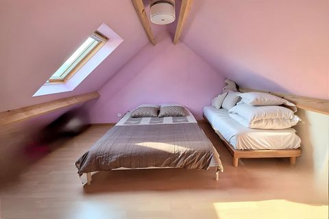 photo no. 12