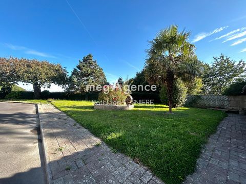 photo no. 12
