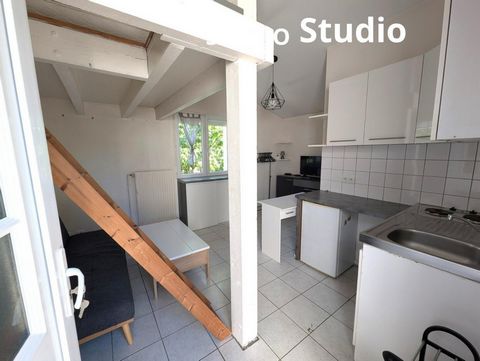 photo no. 14