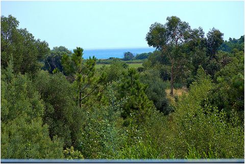 photo no. 1