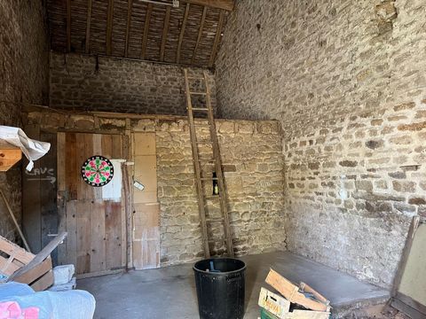 photo no. 6