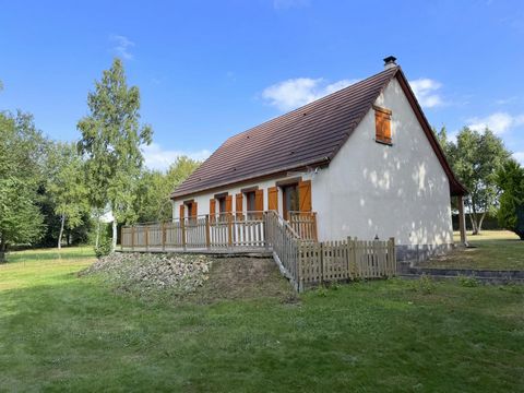 photo no. 12