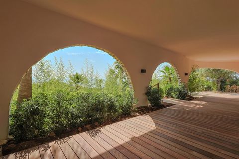 photo no. 13