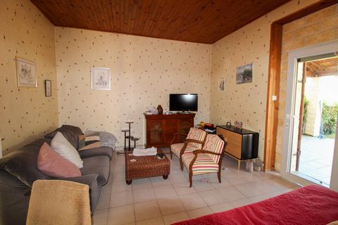 photo no. 5