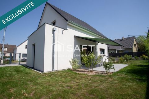 photo no. 10