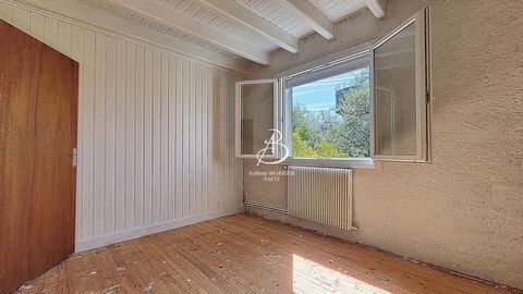 photo no. 11