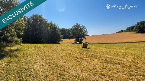 Terrain de 11 852 m² avec vue dégagée, au cœur d’un des plus beaux villages de France