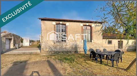 photo no. 13