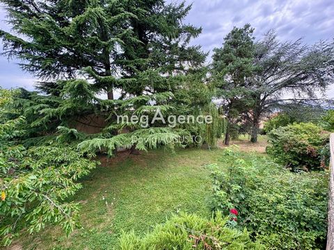 photo no. 11