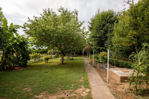 photo no. 12