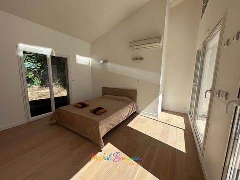 photo no. 6