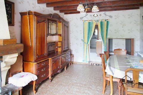 photo no. 5