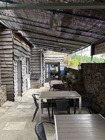 photo no. 15