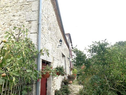 photo no. 5