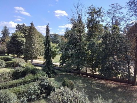 photo no. 14