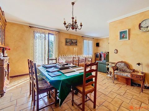 photo no. 6