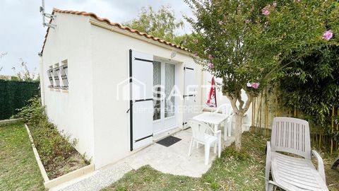 photo no. 12