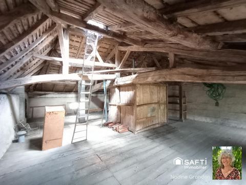 photo no. 14