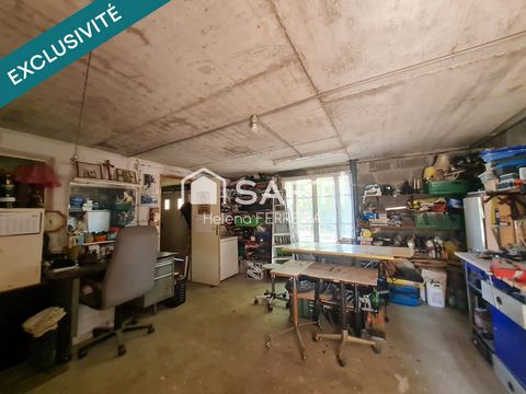 photo no. 15