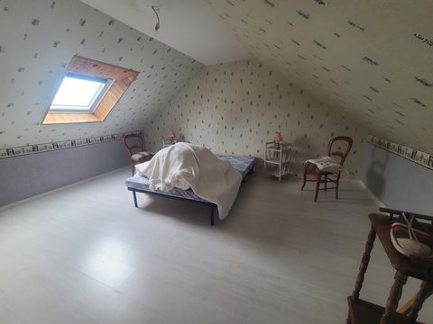 photo no. 10