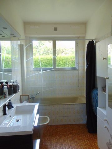photo no. 8
