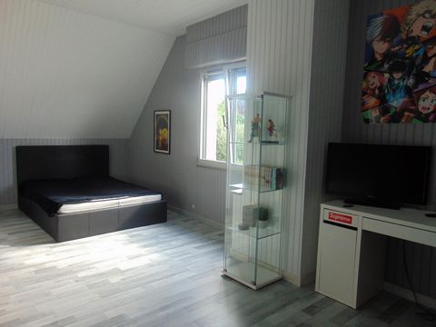 photo no. 12