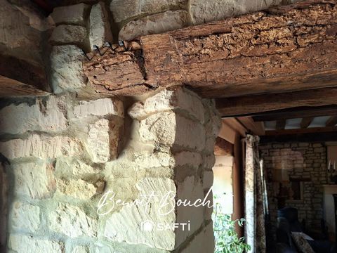 photo no. 9