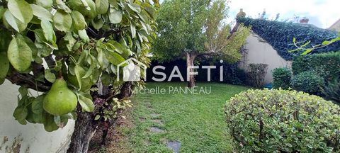photo no. 6