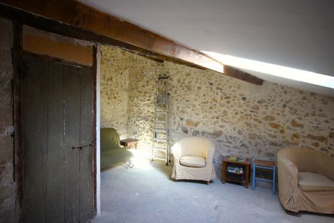 photo no. 9