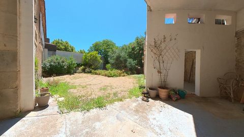 photo no. 2