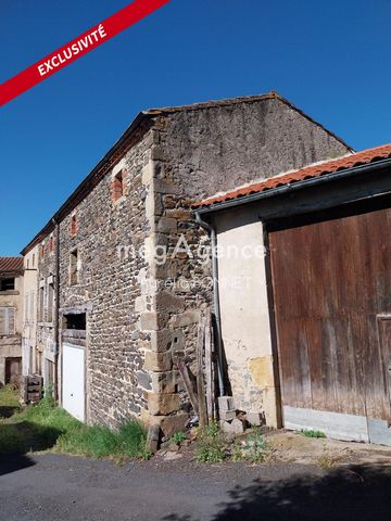 photo no. 10
