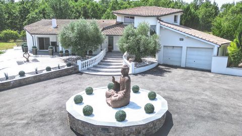 photo no. 31
