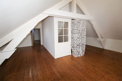 photo no. 4