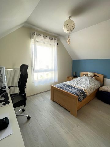 photo no. 6