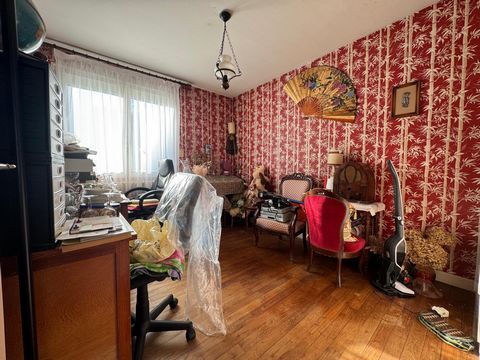 photo no. 8