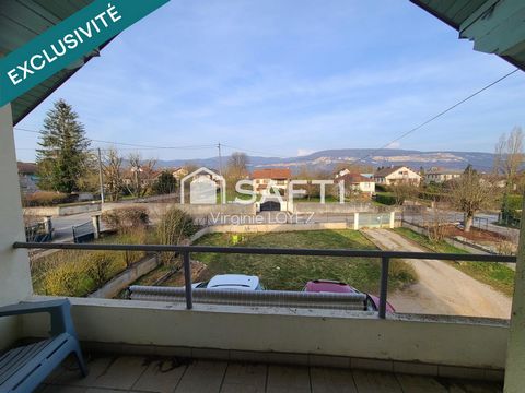 photo no. 17