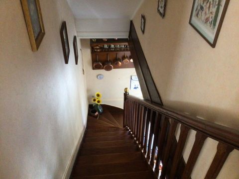 photo no. 11