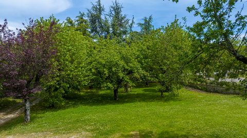 photo no. 19