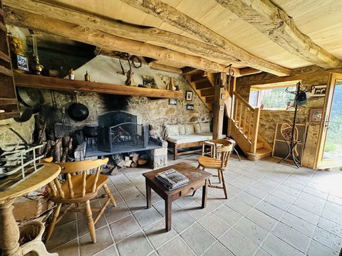 photo no. 6