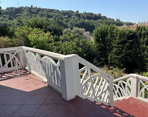 photo no. 11
